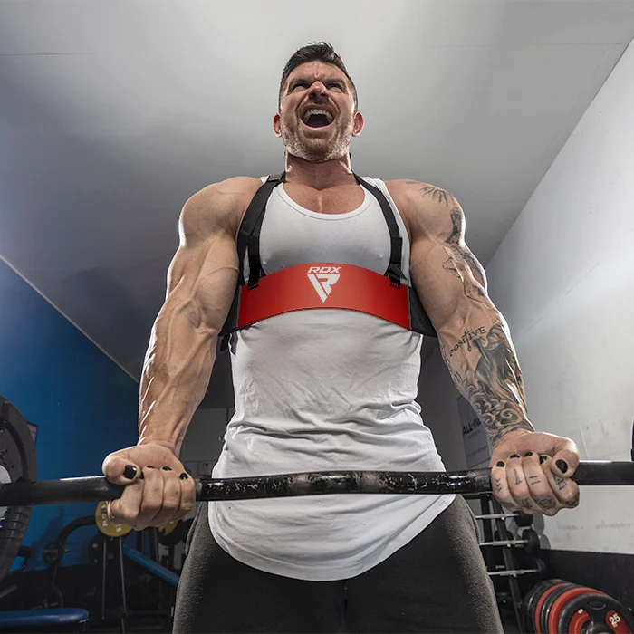 RDX T2 Plus Arm Blaster per il Curvatura dei Bicipiti - Image 10