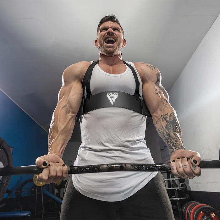 RDX T2 Plus Arm Blaster per il Curvatura dei Bicipiti - Image 2